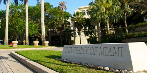 University Of Miami Faculty